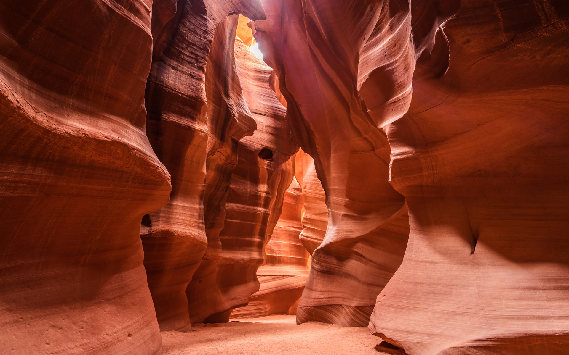 <p>Partenza in mattinata per raggiungere Antelope Canyon: risultato di millenni di lenta erosione grazie a cui la roccia del territorio Navajo presenta passaggi stretti e affascinanti; filtrando dalle spaccature, il sole crea giochi di luce che vi lasceranno senza fiato. Proseguimento verso la Monument Valley: imponenti colline rocciose color rosso che circondano un deserto sabbioso e radure selvatiche. Visita di quest&rsquo;area leggendaria, che ha fatto da set a numerosi film. Questa piana desertica si estende per 40km, 25 dei quali ospitano monoliti giganteschi. Pranzo libero. In opzione, escursione in fuoristrada, accompagnati dagli Indiani Navajo. Nel pomeriggio, stop a Dead Horse Point*, un promontorio panoramico che domina il fiume Colorado. La vista del Canyonlands e del Colorado &egrave; spettacolare. Cena e pernottamento a Moab. *La visita di Dead Horse Point potrebbe essere effettuata il giorno 6 in base alle tempistiche del giorno 5.</p>