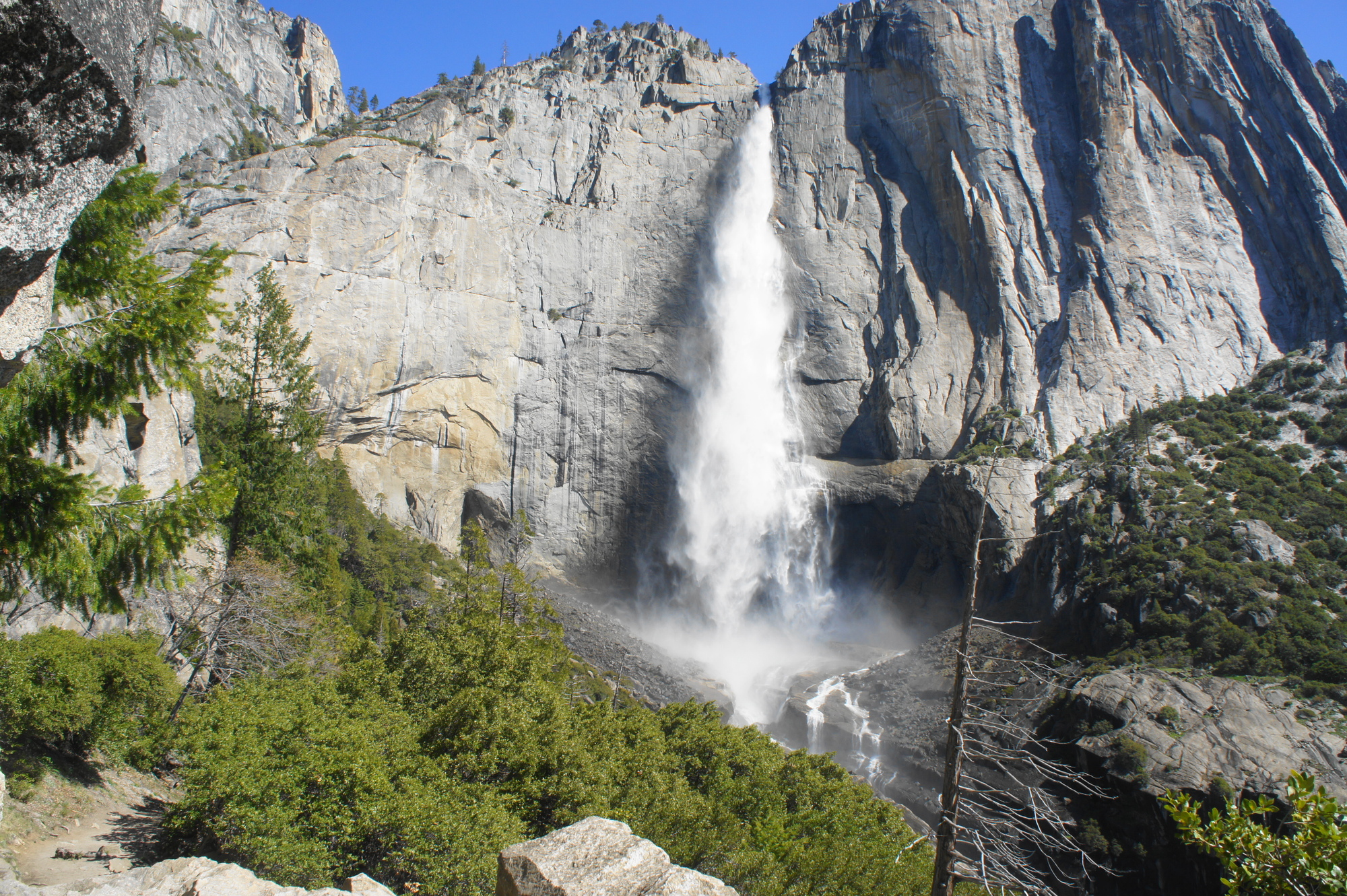 <p>Si parte in direzione del maestoso Yosemite National Park. Questo &egrave; uno dei parchi pi&ugrave; belli della California. Yosemite colpisce per la freschezza dei suoi paesaggi montuosi, dove abbondano foreste di conifere e cascate dominate da pareti bianche monolitiche. Andrete alla scoperta di Half Dome, Yosemite Valley, Bridalveil Falls e Yosemite Falls, particolarmente interessanti durante la primavera. Pranzo libero. Al termine delle visite partenza verso ovest attraverso i rigogliosi terreni agricoli della California, con arrivo a Modesto in serata. Cena e pernottamento.</p>