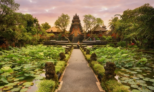 Bali: Ubud & Nusa Dua