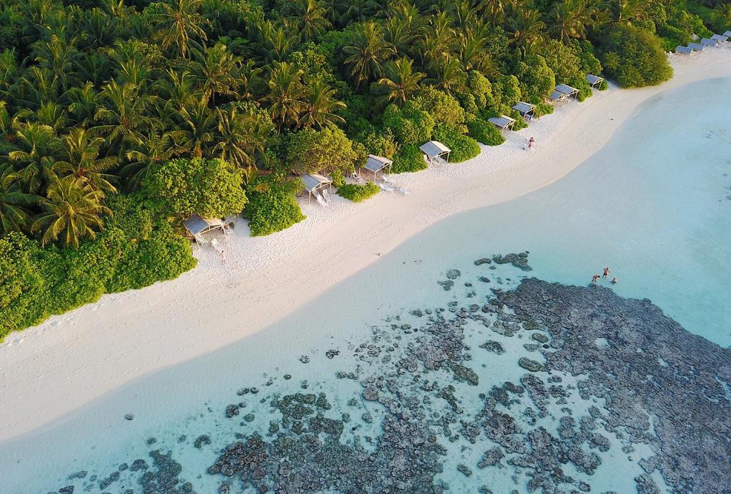 Plumeria Maldives - Guest House