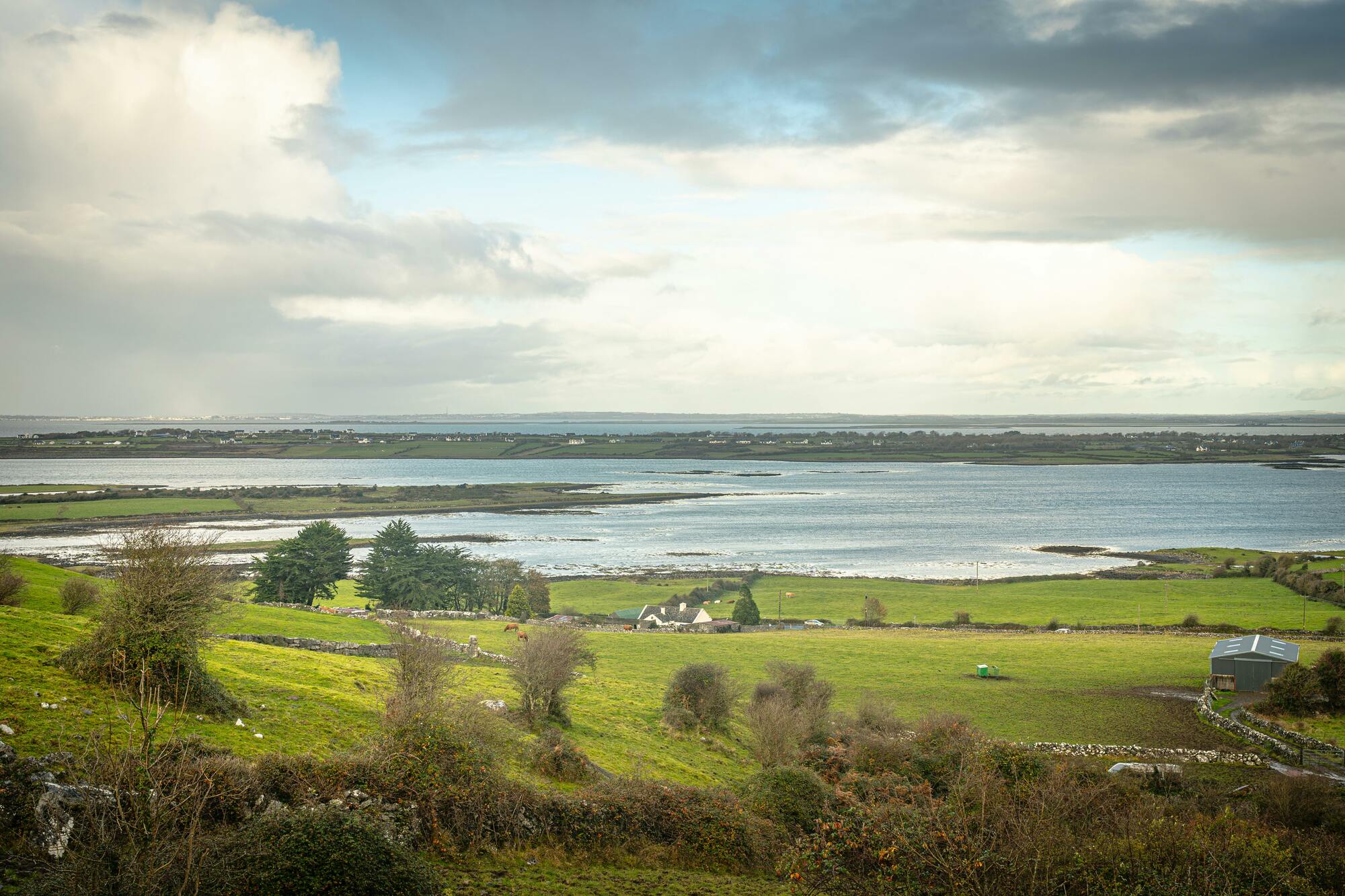 <p><strong>(La guida effettuer&agrave; l&rsquo;escursione alle Isole Aran e la visita di Galway non &egrave; garantita. Chi decider&agrave; di trascorrere la giornata a Galway, lo far&agrave; in autonomia)</strong></p>

<p>Giornata libera a Galway, cittadina deliziosa, con le sue stradine strette, le facciate dei vecchi negozi in pietra e in legno, i buoni ristoranti e i pub animati. Da sempre attrae folle di musicisti, artisti, intellettuali e giovani anticonformisti. Ci&ograve; si deve in parte alla presenza dell&rsquo;Universit&agrave;, ma soprattutto all&rsquo;attrattiva esercitata dalla vita notturna nei pub. La citt&agrave;, inoltre, &egrave; uno dei principali centri gaelici e l&rsquo;irlandese &egrave; parlato diffusamente.</p>

<p><strong>Escursione facoltativa a Inishmore </strong>&ndash; la maggiore delle Isole Aran. Le isole sono tre e sono della stessa origine calcarea del Burren nella contea di Clare e possiedono alcuni dei pi&ugrave; antichi resti di insediamenti cristiani e precristiani in Irlanda. Si partir&agrave; con il traghetto da Rossaveal (o da Doolin) e dopo una traversata di circa 45 minuti si giunger&agrave; su Inishmore, dove un minibus vi accompagner&agrave; attraverso i siti pi&ugrave; significativi dell&rsquo;isola: al forte Dun Angus risalente a pi&ugrave; di 2000 anni fa e abbarbicato su scogliere meravigliose e intatte a picco sull&rsquo;Atlantico. <strong>Il prezzo dell&#39;escursione &egrave; pari ad euro 66 da pagare direttamente alla guida e comprende: traghetto a/r; Mnibus sull&#39;isola fino al Dun Aengus Fort; Ingresso al Dun Aengus Fort.</strong></p>

<p>Tempo libero per il pranzo (libero) e eventuali acquisti dei famosi maglioni delle isole Aran. Rientro con il traghetto del pomeriggio.</p>

<p>Cena e pernottamento a Galway o dintorni.</p>