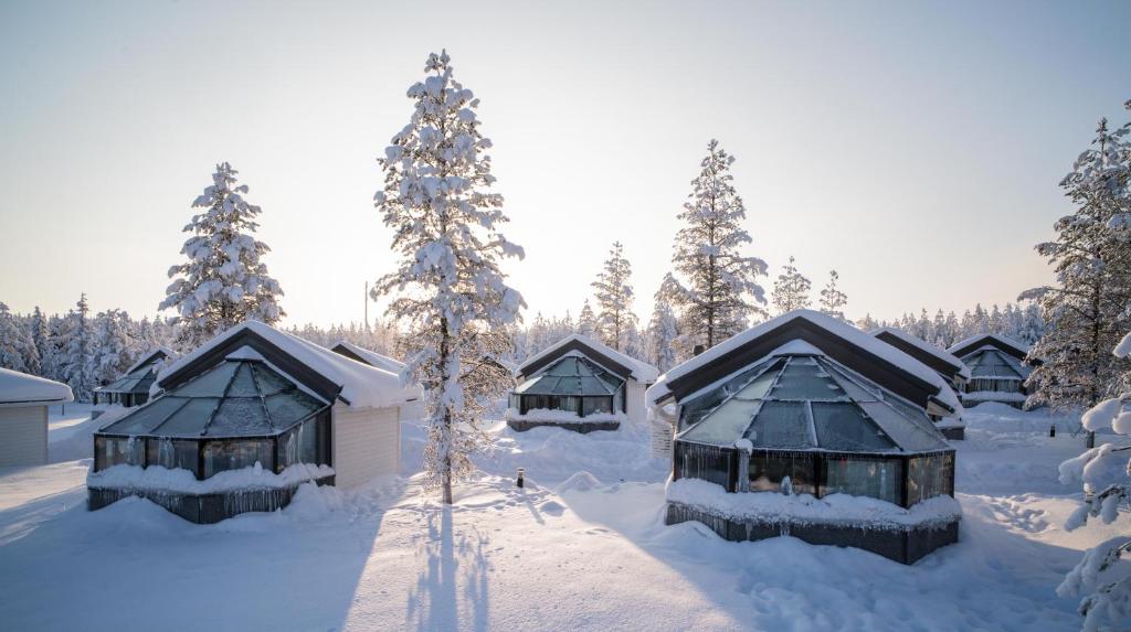 <p>CoIazione a buffet in hoteI.</p>

<p>Giornata libera per godervi Rovaniemi e i suoi dintorni a vostro piacimento! Perch&eacute; non scoprire il magnifico Museo Arktikum e conoscere la storia dei Sami, i discendenti delle popolazioni nomadi che hanno abitato la Scandinavia settentrionale per migliaia di anni? Un'altra opzione &egrave; quella di dedicarsi a una delle tante attivit&agrave; offerte nella zona, come escursioni con le ciaspole, pesca sul ghiaccio e tour in motoslitta. Una nuova ed entusiasmante attivit&agrave; per grandi e piccini &egrave; il karting sul ghiaccio, dove avrete l'opportunit&agrave; di guidare sul ghiaccio e capire perch&eacute; la Finlandia vanta alcuni dei migliori piloti di Formula 1, come Kimi R&auml;ikk&ouml;nen!</p>

<p>Non esitate a chiedere consiglio al vostro accompagnatore, che sar&agrave; lieto di farvi vivere al meglio la Lapponia. All'orario previsto, transfer (incluso) verso l'igloo in cui passerete una serata incredibile ammirando l'aurora boreale comodamente dal vostro letto!</p>

<p>Pernottamento con cena in hotel Santa's igloo Arctic Circle o Arctic glass igloo .</p>