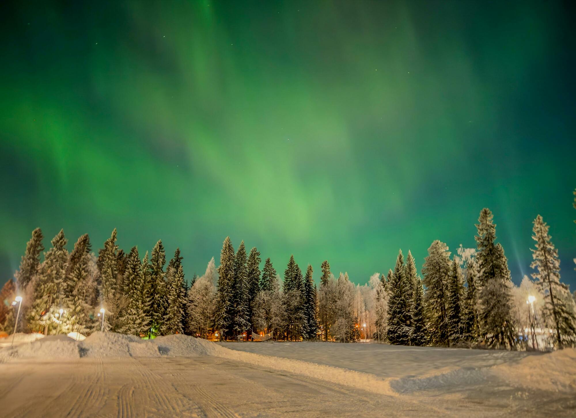 <p>Benvenuti in Finlandia, la terra dei mille laghi. Arrivo a Rovaniemi, la capitale della Lapponia finlandese. La Lapponia &egrave; quanto di pi&ugrave; vicino alla realt&agrave; si possa trovare a un paesaggio invernale da favola. I contrasti sono elementi chiave del fascino della Lapponia, dove le 24 ore di sole estivo sostituiscono le mistiche e gelide giornate invernali. Il trambusto delle citt&agrave; e delle localit&agrave; sciistiche &egrave; a pochi minuti dalla pace e dalla tranquillit&agrave; della natura selvaggia.</p>

<p>Trasferimento in hotel, Cena libera</p>

<p>Incontro con la guida turistica nella hall dell'hotel per un briefing informativo in cui riceverete tutte le informazioni necessarie sullo svolgimento del tour. L'orario dell'incontro verr&agrave; comunicato in seguito.</p>

<p>Pernottamento Santa Claus Hotel o similare</p>