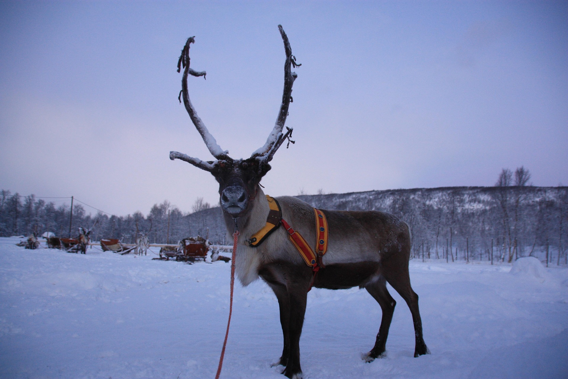 Avventura a Lulea - Lapponia Svedese